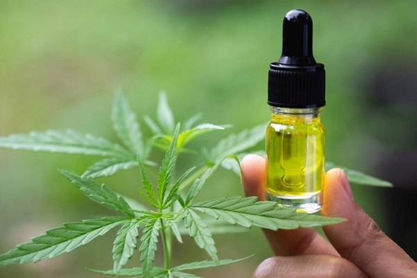 Hemp CBD Oil: How To Choose Which One Right For You?
