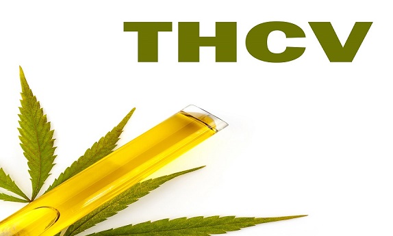 What Is THCV Cannabinoid?