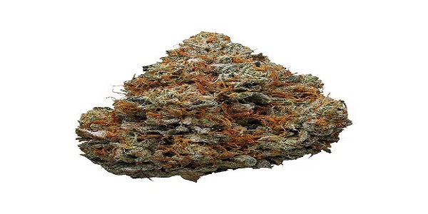 Jungle Cake Strain: What Does It Appear, Smell, and Taste Like?