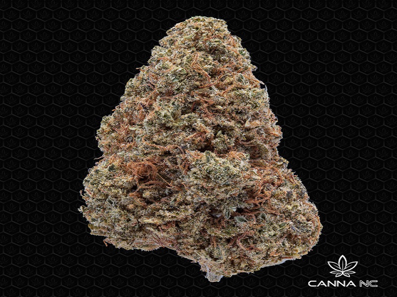 Grand Daddy Purple: Nature’s Tranquil Masterpiece