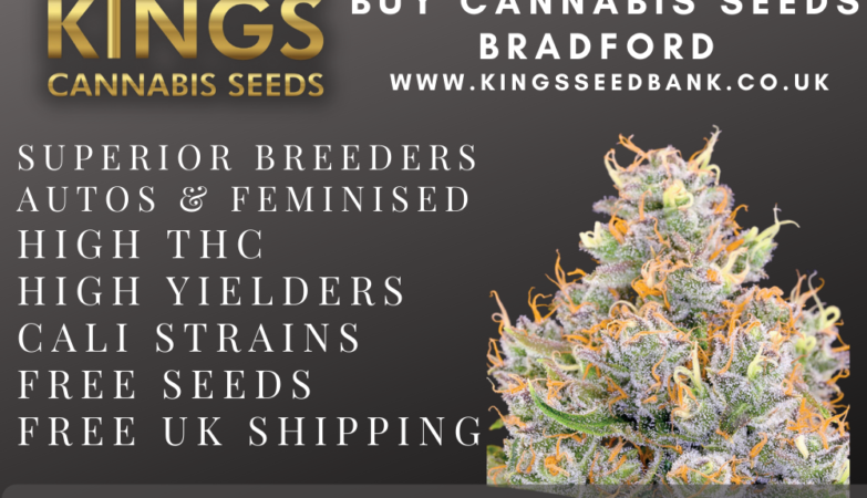 Buy cannabis seeds Bradford